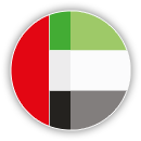 Dubai flag