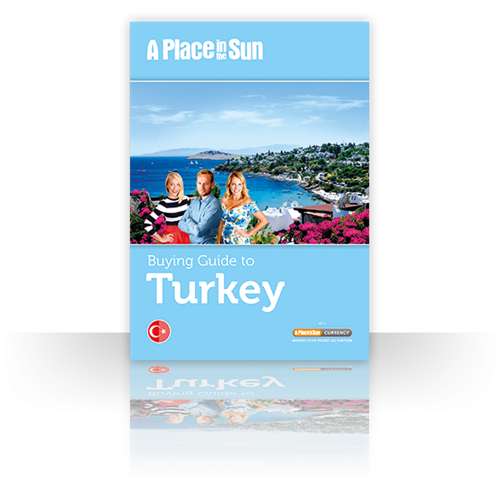 Turkey Buying Guide