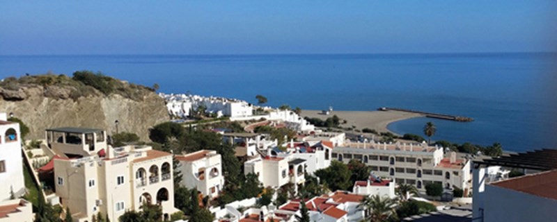 A Place in the Sun | Where Are They Now?