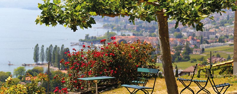 How Equity Release Can Help You Buy a Property